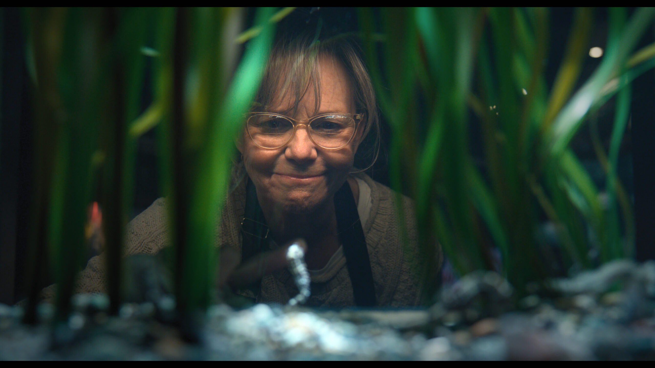 Sally Field’s Emmy Nomination for ‘Remarkably Bright Creatures’, A 17-Year Gap