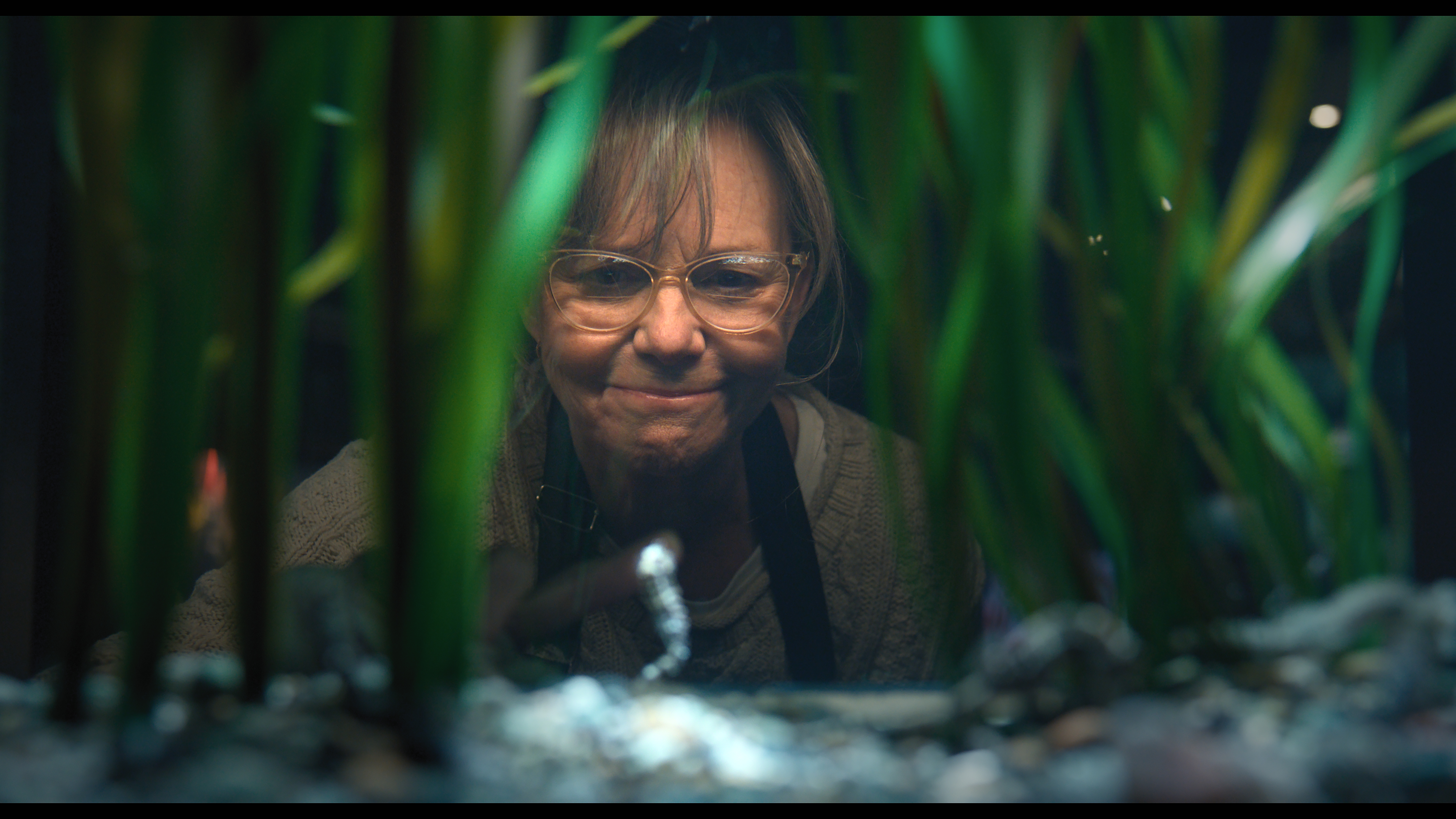 Sally Field’s Emmy Nomination for ‘Remarkably Bright Creatures’, A 17-Year Gap