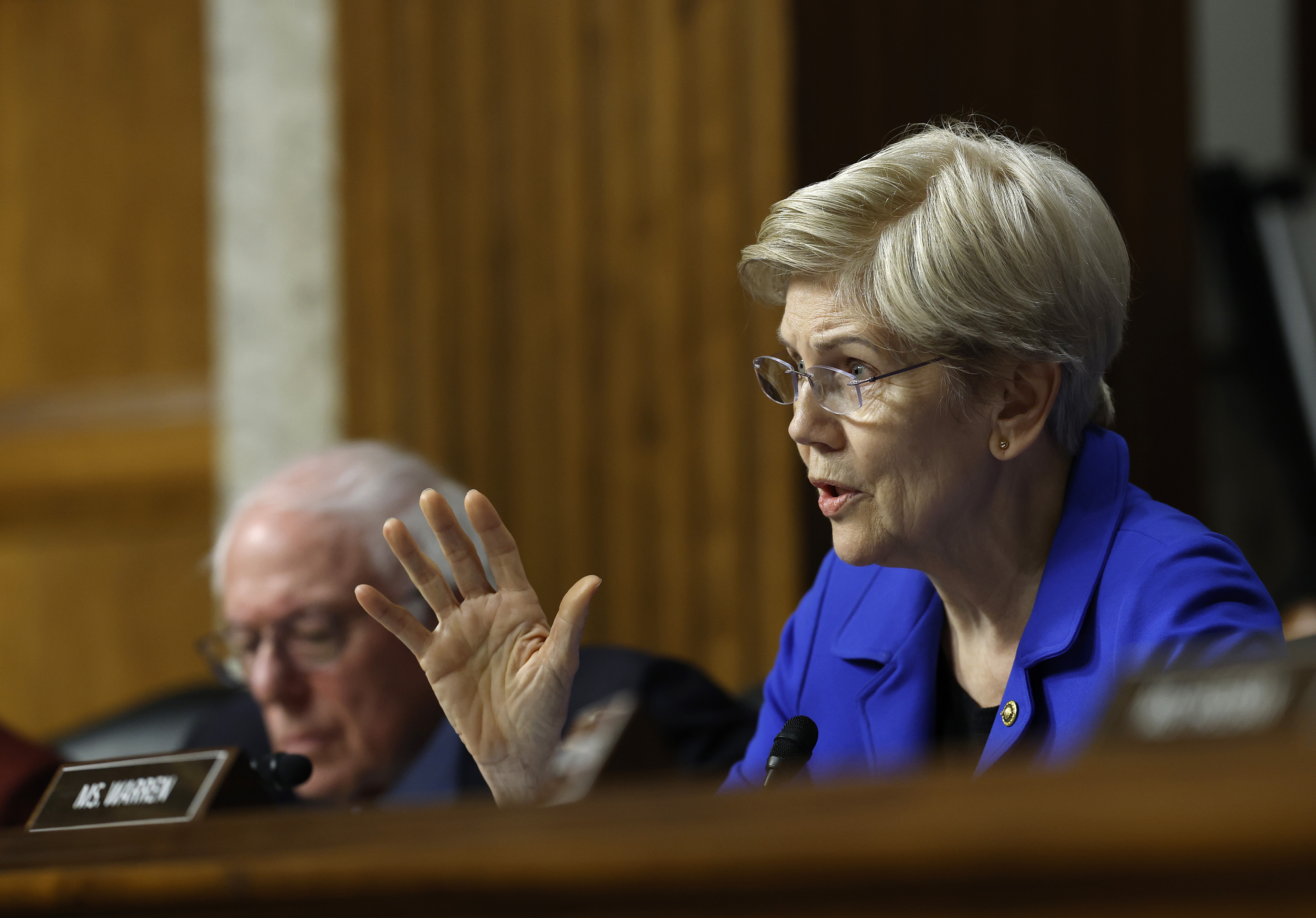 Elizabeth Warren and Lawmakers Warn of Fox-Roku Antitrust Issues